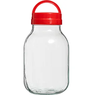 Pot TO 3 L en deksel fi 100 met handvat
