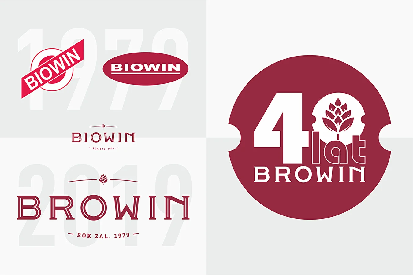 Van BIOWIN naar BROWIN