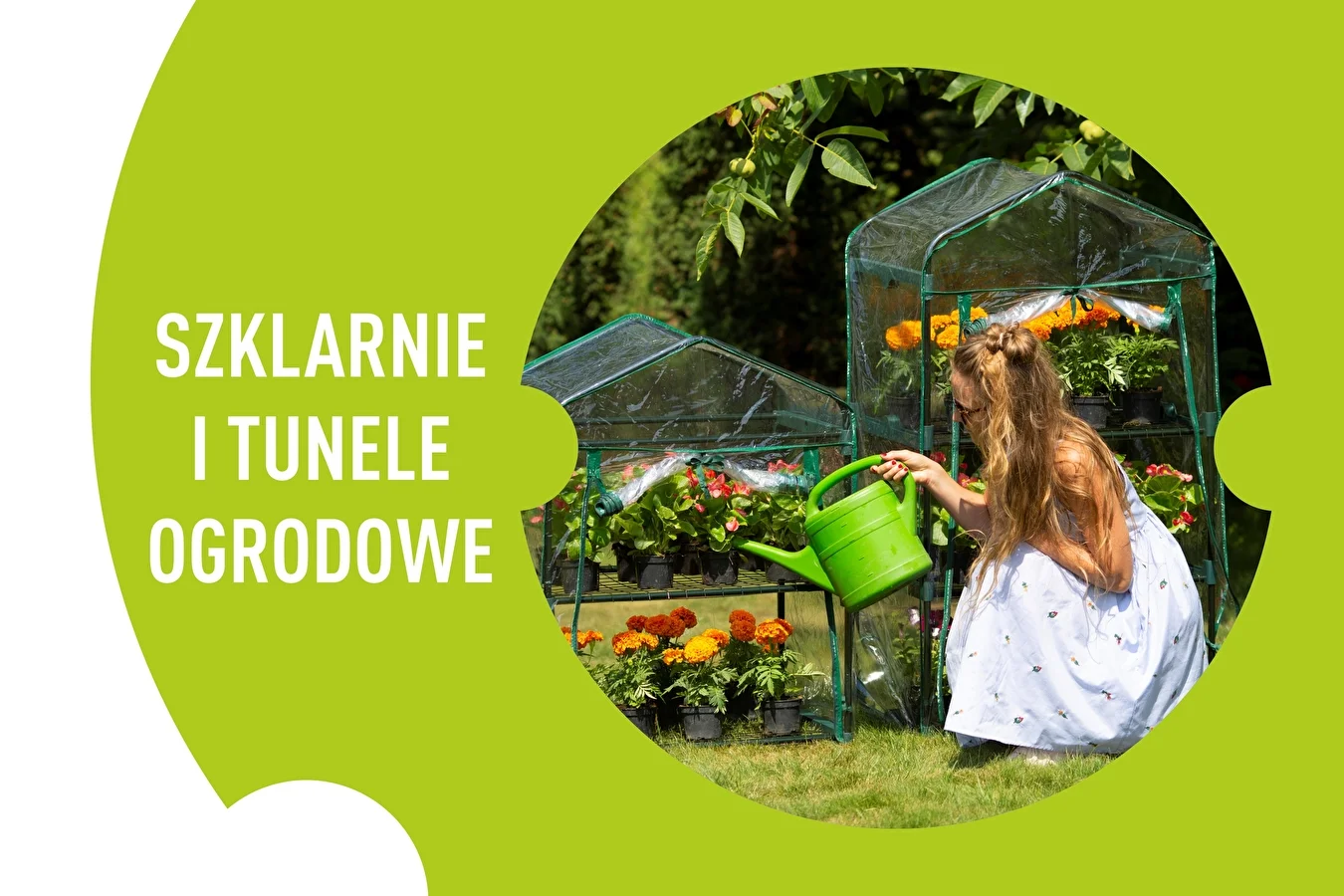 Tuinkassen en tunnels - bescherming van uw planten