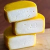 Bacterieculturen voor gouda kaas - 4 ['blijf thuis', ' kaasculturen', ' bacterieculturen voor kaas', ' gouda kaas', ' hoe maak je gouda kaas', ' glutenvrij dieet', ' bacteriën', ' starterculturen']
