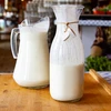 Bacterieculturen voor yoghurt - 2 ['blijf thuis', ' yoghurtculturen', ' bacterieculturen voor yoghurt', ' hoe maak je yoghurt', ' glutenvrij dieet', ' bacteriën', ' starterculturen']