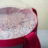 Bayanus-gist + voedingsstof - Universeel - 21%, 17 g - 11 ['wijnbouwgist', ' Bayanus-gist', ' voor rode wijn', ' voor witte wijn', ' voor druivenwijn', ' voor roséwijn', ' voedingsstof voor gist', ' voor fruitwijn', ' sterke wijn', ' 21%']