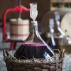 Bayanus-gist + voedingsstof - Universeel - 21%, 17 g - 14 ['wijnbouwgist', ' Bayanus-gist', ' voor rode wijn', ' voor witte wijn', ' voor druivenwijn', ' voor roséwijn', ' voedingsstof voor gist', ' voor fruitwijn', ' sterke wijn', ' 21%']