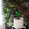 Bewateringsballen voor planten, groen transparant, 400 ml, 4 stuks - 9 ['bewateringsballen', ' bloemenbewateringsdispenser', ' voor het bewateren van bloemen', ' bloemenbevochtigers', ' bloemenbewatering', ' plantenbewatering', ' potbewateringssystemen', ' voor het bewateren van bloemen', ' voor kamerplanten', ' bewateringssysteem', ' bewateringsbal', ' waterdispenser voor potten', ' plantenballen', ' plantendispenser', ' plantenbewatering', ' bewateringsbal', ' groene bewateringsballen', ' transparante bewateringsballen', ' gekleurde bewateringsballen']