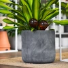 Bewateringsbollen voor planten, amberkleurig transparant, 400 ml, 4 stuks - 12 ['bewateringsbollen', ' bloemenbewateringsdispenser', ' voor het bewateren van bloemen', ' bloemenbevochtigers', ' bloemenbewatering', ' plantenbewatering', ' potbewateraars', ' voor het bewateren van bloemen', ' voor kamerplanten', ' bewateringssysteem', ' bewateringsbol', ' waterdispenser voor potten', ' bollen voor planten', ' dispenser voor planten', ' plantenbewatering', ' bewateringsbol', ' amberkleurige bewateringsbollen']