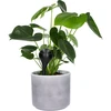 Bewateringsbollen voor planten, matzwart, 400 ml, 2 stuks - 7 ['bewateringsbollen', ' bloemenbewateringsdispenser', ' voor het bewateren van bloemen', ' bloemenbevochtigers', ' bloemenbewatering', ' plantenbewatering', ' potbewateraars', ' voor het bewateren van bloemen', ' voor kamerplanten', ' bewateringssysteem', ' bewateringsbol', ' waterdispenser voor potten', ' bollen voor planten', ' dispenser voor planten', ' plantenbewatering', ' bewateringsbol', ' zwarte bewateringsbollen', ' loftontwerp']