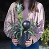 Bewateringsbollen voor planten, matzwart, 400 ml, 4 stuks - 10 ['bewateringsbollen', ' bloemenbewateringsdispenser', ' voor het bewateren van bloemen', ' bloemenbevochtigers', ' bloemenbewatering', ' plantenbewatering', ' potbewateraars', ' voor het bewateren van bloemen', ' voor kamerplanten', ' bewateringssysteem', ' bewateringsbol', ' waterdispenser voor potten', ' bollen voor planten', ' dispenser voor planten', ' plantenbewatering', ' bewateringsbol', ' zwarte bewateringsbollen', ' loftontwerp']