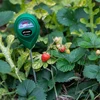 Bodem pH-meter - 11 ['ph-meter voor grond', ' bodemonderzoek', ' grond ph-meter', ' ph van de grond', ' hoe de ph van de grond te controleren', ' hoe de ph van de grond te testen', ' ph-onderzoek van de grond', ' ph-meting van de grond', ' bodemreactie', ' ph-reactie van de grond', ' zuurgraad van de grond']