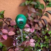 Bodem pH-meter - 13 ['ph-meter voor grond', ' bodemonderzoek', ' grond ph-meter', ' ph van de grond', ' hoe de ph van de grond te controleren', ' hoe de ph van de grond te testen', ' ph-onderzoek van de grond', ' ph-meting van de grond', ' bodemreactie', ' ph-reactie van de grond', ' zuurgraad van de grond']
