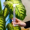 Buitenthermometer met transparante schaal (-70°C tot +50°C) 23cm mix - 3 ['buitenthermometer', ' welke temperatuur', ' plakthermometer', ' schroefthermometer', ' duidelijke schaal']