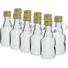 Butelka Galonik 40ml z zak., 10szt. - 3 Galonik, butelka galonik, butelka na alkohol, butelka na nalewke, piersiówka butelka na nalewkę