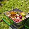 Ciderkit 20 L - 15 ['cadeau', ' ciderkit', ' complete ciderkit', ' kit met waterslot', ' kit met fermentatiecontainer', ' cider maken', ' kit voor 20 L cider']