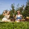 Ciderkit 20 L - 16 ['cadeau', ' ciderkit', ' complete ciderkit', ' kit met waterslot', ' kit met fermentatiecontainer', ' cider maken', ' kit voor 20 L cider']