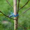 Clips voor het vastmaken van planten 20 stuks (8x groot/12x klein) - 8 ['plantenlabels', ' labels voor plantenbeschrijving', ' voor plantenbeschrijving', ' informatieborden voor planten', ' borden voor planten']