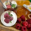 Deksel fi 66 fruit - 10 stuks - 3 ['deksels voor potten', ' decoratieve deksels', ' gekleurde deksels', ' fruitdeksels', ' fi66', ' fi 66']