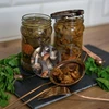 Deksel fi 66 paddenstoelen 2 - 10st. - 4 ['doppen', ' potdeksel', ' potdeksels', ' deksels voor potten', ' deksels op potten', ' deksel voor pot', ' fi66', ' fi 66']