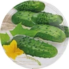 Deksel fi 82/6 komkommers 2 - 10 stuks - 2 ['doppen', ' potdeksel', ' potdeksels', ' deksels voor potten', ' deksels op potten', ' deksel voor pot', ' ingelegde komkommers', ' augurken', ' pickles']