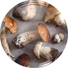 Deksel fi82/6 paddenstoelen 2 - los - 4 