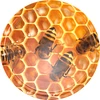 Dop fi 66 honingraat - 10 stuks  - 1 ['dop', ' doppen', ' dop', ' doppen', ' doppen voor honing', ' doppen voor potten', ' fi66', ' potten voor honing', ' fi 66', ' honingopslag', ' honing van de eigen bijenstal', ' potten voor honing', ' doppen met honingpatroon', ' honingraat']