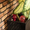 Drievoudige bewateringsbal (driekamer), transparant roze, 600 ml - 8 ['bewateringsballen', ' bloemenbewateringsdispenser', ' voor het bewateren van bloemen', ' bloemenbevochtigers', ' bloemenbewatering', ' plantenbewatering', ' potbewateraars', ' voor het bewateren van bloemen', ' voor kamerplanten', ' bewateringssysteem', ' bewateringsbal', ' waterdispenser voor potten', ' plantenballen', ' plantendispenser', ' plantenbewatering', ' bewateringsbal', ' drievoudige bewateringsballen', ' decoratieve plantenbewateraars', ' praktische bewateringsballen', ' ruime bewateringsballen', ' transparante doorzichtige bewateringsballen', ' gekleurde bewateringsballen voor planten', ' roze plantenballen']