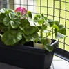 Drievoudige bewateringsbal (driekamer), transparant roze, 600 ml - 9 ['bewateringsballen', ' bloemenbewateringsdispenser', ' voor het bewateren van bloemen', ' bloemenbevochtigers', ' bloemenbewatering', ' plantenbewatering', ' potbewateraars', ' voor het bewateren van bloemen', ' voor kamerplanten', ' bewateringssysteem', ' bewateringsbal', ' waterdispenser voor potten', ' plantenballen', ' plantendispenser', ' plantenbewatering', ' bewateringsbal', ' drievoudige bewateringsballen', ' decoratieve plantenbewateraars', ' praktische bewateringsballen', ' ruime bewateringsballen', ' transparante doorzichtige bewateringsballen', ' gekleurde bewateringsballen voor planten', ' roze plantenballen']