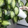 Drievoudige bewateringsbol (driekamer), transparant groen met keramische voet, 600ml - 6 
