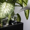 Drievoudige bewateringsbol (driekamer), transparant kleurloos, met keramische voet, 600 ml - 7 