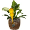 Drievoudige gietbal (driekamer), transparant geel, 600 ml - 3 ['gieters', ' bloemen waterdispenser', ' voor het water geven van bloemen', ' bloemenbevochtigers', ' bloemenirrigatie', ' plantenirrigatie', ' potirrigators', ' voor het water geven van bloemen', ' voor kamerplanten', ' irrigatiesysteem', ' gietbal', ' waterdispenser voor potten', ' plantenballen', ' plantendispenser', ' planten water geven', ' gietbal', ' drievoudige gietballen', ' decoratieve plantenirrigators', ' praktische gietballen', ' ruime gietballen', ' transparante doorzichtige gietballen', ' gekleurde gietballen voor plantenirrigatie', ' gele plantenballen']