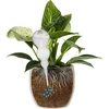 Drievoudige gietbal (driekamer), transparant kleurloos, 600 ml - 3 ['gieters', ' bloemen waterdispenser', ' voor het water geven van bloemen', ' bloemenbevochtigers', ' bloemenirrigatie', ' plantenirrigatie', ' potirrigators', ' voor het water geven van bloemen', ' voor kamerplanten', ' irrigatiesysteem', ' gietbal', ' waterdispenser voor potten', ' plantenballen', ' plantenwaterdispenser', ' planten water geven', ' gietbal', ' drievoudige gietballen', ' decoratieve plantenirrigators', ' praktische gietballen', ' ruime gietballen', ' transparante doorzichtige gietballen', ' kleurloze gietbal']