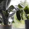 Drievoudige gietbal (driekamer), transparant kleurloos, 600 ml - 7 ['gieters', ' bloemen waterdispenser', ' voor het water geven van bloemen', ' bloemenbevochtigers', ' bloemenirrigatie', ' plantenirrigatie', ' potirrigators', ' voor het water geven van bloemen', ' voor kamerplanten', ' irrigatiesysteem', ' gietbal', ' waterdispenser voor potten', ' plantenballen', ' plantenwaterdispenser', ' planten water geven', ' gietbal', ' drievoudige gietballen', ' decoratieve plantenirrigators', ' praktische gietballen', ' ruime gietballen', ' transparante doorzichtige gietballen', ' kleurloze gietbal']