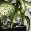 Drievoudige gietbal (driekamer), transparant kleurloos, 600 ml - 8 ['gieters', ' bloemen waterdispenser', ' voor het water geven van bloemen', ' bloemenbevochtigers', ' bloemenirrigatie', ' plantenirrigatie', ' potirrigators', ' voor het water geven van bloemen', ' voor kamerplanten', ' irrigatiesysteem', ' gietbal', ' waterdispenser voor potten', ' plantenballen', ' plantenwaterdispenser', ' planten water geven', ' gietbal', ' drievoudige gietballen', ' decoratieve plantenirrigators', ' praktische gietballen', ' ruime gietballen', ' transparante doorzichtige gietballen', ' kleurloze gietbal']