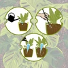 Drievoudige gietersbol (driekamer), transparant groen, 600 ml - 9 ['gietersbollen', ' bloemenbewateringsdispenser', ' voor het bewateren van bloemen', ' bloemenbevochtigers', ' bloemenbewatering', ' plantenbewatering', ' potbewateraars', ' voor het bewateren van bloemen', ' voor kamerplanten', ' bewateringssysteem', ' gietersbol', ' waterdispenser voor potten', ' bollen voor planten', ' dispenser voor planten', ' plantenbewatering', ' gietersbol', ' drievoudige gietersbollen', ' decoratieve plantenbewateraars', ' praktische gietersbollen', ' ruime gietersbollen', ' transparante doorzichtige gietersbollen', ' kleurrijke bollen voor plantenbewatering', ' groene bollen voor planten']