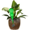 Drievoudige gietersbol (driekamer), transparant groen, 600 ml - 3 ['gietersbollen', ' bloemenbewateringsdispenser', ' voor het bewateren van bloemen', ' bloemenbevochtigers', ' bloemenbewatering', ' plantenbewatering', ' potbewateraars', ' voor het bewateren van bloemen', ' voor kamerplanten', ' bewateringssysteem', ' gietersbol', ' waterdispenser voor potten', ' bollen voor planten', ' dispenser voor planten', ' plantenbewatering', ' gietersbol', ' drievoudige gietersbollen', ' decoratieve plantenbewateraars', ' praktische gietersbollen', ' ruime gietersbollen', ' transparante doorzichtige gietersbollen', ' kleurrijke bollen voor plantenbewatering', ' groene bollen voor planten']