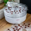 Droger voor paddenstoelen, fruit, groenten en kruiden 125 W - 15 ['voedseldrogers', ' paddenstoelendroger', ' fruitdroger', ' groentendrogen', ' vleesdrogen', ' groentendroger', ' voedsel drogen', ' eten drogen', ' keukendroger']