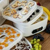 Droger voor paddenstoelen, fruit, groenten en kruiden met temperatuurregeling, 240W, wit - 19 ['voedseldroger', ' paddenstoelendroger', ' gedroogd fruit', ' gedroogde groenten', ' voedselopslag', ' voedsel drogen', ' voedseldrogers', ' temperatuurregeling', ' dehydrator']