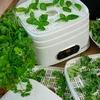 Droger voor paddenstoelen, fruit, groenten en kruiden met temperatuurregeling, 240W, wit - 23 ['voedseldroger', ' paddenstoelendroger', ' gedroogd fruit', ' gedroogde groenten', ' voedselopslag', ' voedsel drogen', ' voedseldrogers', ' temperatuurregeling', ' dehydrator']
