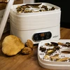Droger voor paddenstoelen, fruit, groenten en kruiden met temperatuurregeling, 240W, wit - 17 ['voedseldroger', ' paddenstoelendroger', ' gedroogd fruit', ' gedroogde groenten', ' voedselopslag', ' voedsel drogen', ' voedseldrogers', ' temperatuurregeling', ' dehydrator']