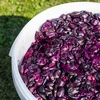 Fermentatiecontainer 30 L met deksel en kraan - 16 ['fermentatiecontainer', ' voor wijn', ' voor bier', ' voor beslag', ' fermentatie-emmer', ' emmer met schaalverdeling', ' emmer met schaal', ' emmer met kraan']