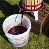 Fermentatiecontainer met deksel 30 L - 15 ['fermentatiecontainer', ' fermentatie-emmer', ' fermentatie-emmertje', ' fermentatiecontainers', ' fermentatiecontainer voor wijn', ' fermentatiecontainers voor wijn', ' biowin fermentatie-emmer', ' browin fermentatie-emmer']