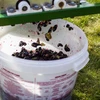 Fermentatiecontainer met deksel 30 L - 18 ['fermentatiecontainer', ' fermentatie-emmer', ' fermentatie-emmertje', ' fermentatiecontainers', ' fermentatiecontainer voor wijn', ' fermentatiecontainers voor wijn', ' biowin fermentatie-emmer', ' browin fermentatie-emmer']