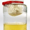 Filterzak voor likeuren - 3 ['filterzak voor most', ' filterzak voor likeuren', ' filterzak', ' wijn filteren', ' hoe wijn te filteren', ' zelfgemaakte wijn filteren']