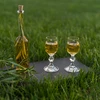 Fles voor likeur 100 ml 6 stuks + 6 kurken - 11 ['fles voor alcohol', ' decoratieve flessen voor alcohol', ' glazen fles voor alcohol', ' flessen voor zelfgestookte drank voor bruiloft', ' fles voor likeur', ' fles voor wijn', ' flessen voor wijn', ' likeur']