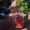 Flessenborstel 1 L - 3 ['borstel voor het wassen van ballonnen', ' borstel voor het schoonmaken van ballonnen', ' borstel voor het schoonmaken van wijnballonnen', ' ballonnen wassen', ' ballonnen schoonmaken', ' ballonnen desinfecteren']