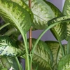 Gecoate stalen stok in bamboevorm, 180 cm x 11mm - 4 ['tuinstok', ' plantenstok', ' plantensteun', ' tuinsteun', ' metalen tuinsteunen', ' steun voor klimplanten', ' steunen voor klimplanten', ' metalen steunen voor bloemen', ' gecoate metalen stokken', ' gecoate plantenstok', ' stalen stok in bamboevorm', ' tuinaccessoires', ' hoe zorg je voor planten', ' aanbevolen stokken voor planten', ' groene stok', ' stalen stokken a la bamboe', ' bamboestokken', ' stokken in bamboevorm', ' steun in bamboevorm']