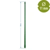 Gecoate stalen stok PE 1,75 m x 11 mm - 2 ['tuinstok', ' plantenstok', ' plantensteun', ' tuinsteun', ' metalen tuinsteunen', ' steun voor klimplanten', ' steunen voor klimplanten', ' metalen steunen voor bloemen', ' gecoate metalen stokken', ' gecoate plantenstok']