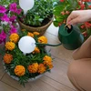 Gietbal voor planten, mat wit met keramische voet, 400ml - 8 ['gieters', ' bloemen waterdispenser', ' voor het water geven van bloemen', ' bloemenbevochtigers', ' bloemenirrigatie', ' plantenirrigatie', ' potirrigators', ' voor kamerplanten', ' irrigatiesysteem', ' gietbal', ' waterdispenser voor potten', ' plantenballen', ' plantenwaterdispenser', ' planten water geven', ' witte gietballen', ' gietballen met keramische voet', ' keramische voet', ' gekleurde gietballen', ' gietballen met kleivoet', ' gietballen die van bovenaf worden gevuld', ' dispensers die van bovenaf worden gevuld', '']
