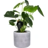 Gietballen voor planten, matzwart, met kurk, 400ml, 4 stuks - 7 ['gieters', ' bloemen waterdispenser', ' voor het water geven van bloemen', ' bloemenbevochtigers', ' bloemenirrigatie', ' plantenirrigatie', ' potirrigators', ' voor het water geven van bloemen', ' voor kamerplanten', ' irrigatiesysteem', ' gietbal', ' waterdispenser voor potten', ' plantenballen', ' plantendispenser', ' planten water geven', ' gietbal', ' van bovenaf vulbare gietballen', ' van bovenaf vulbare dispensers', ' gietballen met kurk', ' zwarte gietballen', ' loftontwerp']