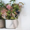 Gietballen voor planten, matzwart, met kurk, 400ml, 4 stuks - 10 ['gieters', ' bloemen waterdispenser', ' voor het water geven van bloemen', ' bloemenbevochtigers', ' bloemenirrigatie', ' plantenirrigatie', ' potirrigators', ' voor het water geven van bloemen', ' voor kamerplanten', ' irrigatiesysteem', ' gietbal', ' waterdispenser voor potten', ' plantenballen', ' plantendispenser', ' planten water geven', ' gietbal', ' van bovenaf vulbare gietballen', ' van bovenaf vulbare dispensers', ' gietballen met kurk', ' zwarte gietballen', ' loftontwerp']