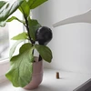 Gietballen voor planten, matzwart, met kurk, 400ml, 4 stuks - 12 ['gieters', ' bloemen waterdispenser', ' voor het water geven van bloemen', ' bloemenbevochtigers', ' bloemenirrigatie', ' plantenirrigatie', ' potirrigators', ' voor het water geven van bloemen', ' voor kamerplanten', ' irrigatiesysteem', ' gietbal', ' waterdispenser voor potten', ' plantenballen', ' plantendispenser', ' planten water geven', ' gietbal', ' van bovenaf vulbare gietballen', ' van bovenaf vulbare dispensers', ' gietballen met kurk', ' zwarte gietballen', ' loftontwerp']