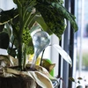 Gietballen voor planten, transparant, 400 ml, 2 stuks - 12 ['gieters', ' bloemen waterdispenser', ' voor het water geven van bloemen', ' bloemenbevochtigers', ' bloemenirrigatie', ' plantenirrigatie', ' potirrigators', ' voor het water geven van bloemen', ' voor kamerplanten', ' irrigatiesysteem', ' gietbal', ' waterdispenser voor potten', ' plantenballen', ' dispenser voor planten', ' planten water geven', ' gietbal']